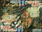 Poison Ivy #30 Cover A Jessica Fong Flip Cover