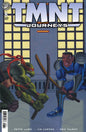 TMNT: Journeys #8 Cover A (Pre-Order 04/08/2026)