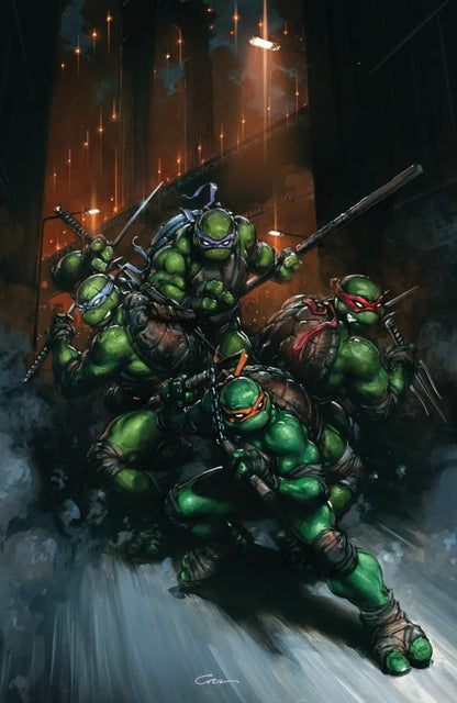 Teenage Mutant Ninja Turtles #13 1:50 Clayton Crain Virgin Variant (VF)