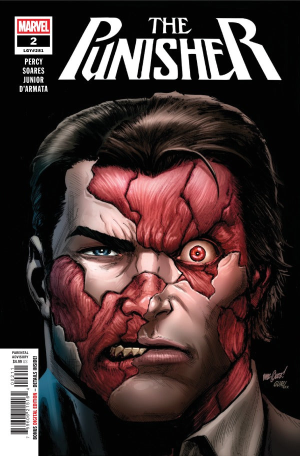 Punisher #2 Main Cover